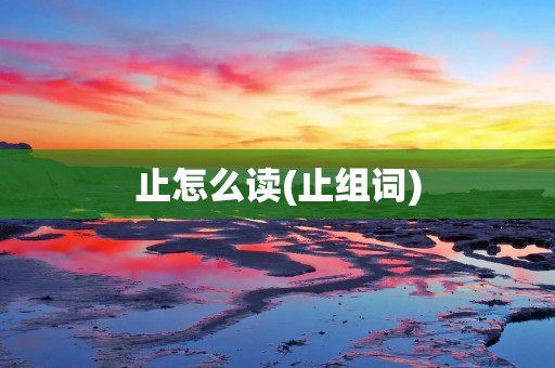 止怎么读(止组词)