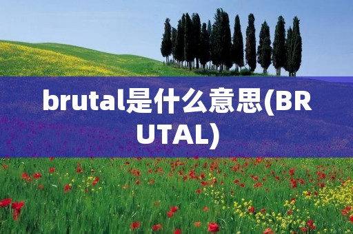 brutal是什么意思(BRUTAL) brutal是什么意思(BRUTAL)