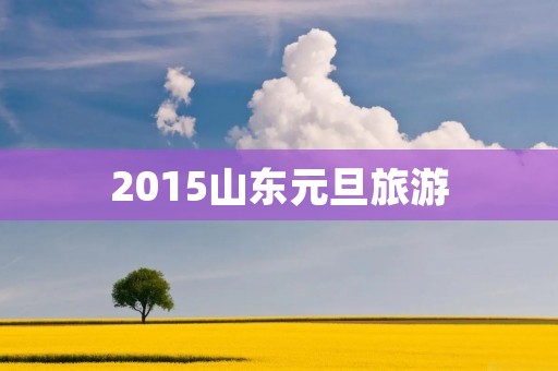 2015山东元旦旅游