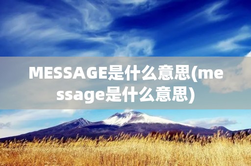 MESSAGE是什么意思(message是什么意思)