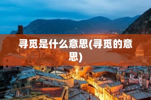 寻觅是什么意思(寻觅的意思)