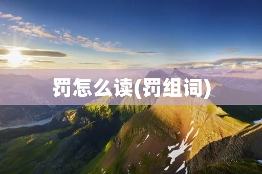 罚怎么读(罚组词)