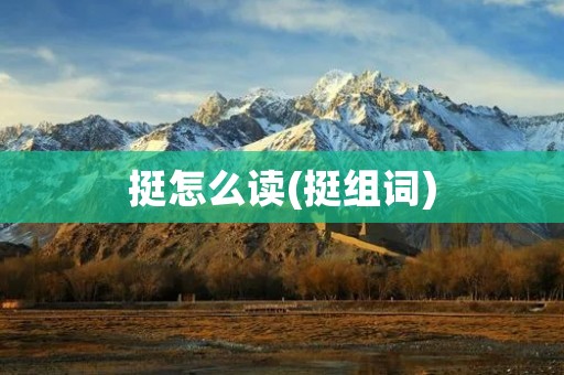 挺怎么读(挺组词)