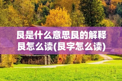 艮是什么意思艮的解释艮怎么读(艮字怎么读)