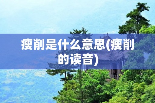 瘦削是什么意思(瘦削的读音)