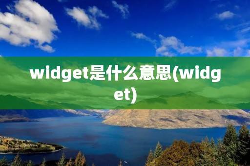 widget是什么意思(widget)