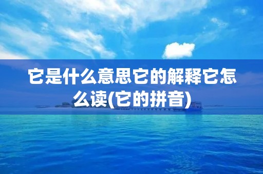 它是什么意思它的解释它怎么读(它的拼音)