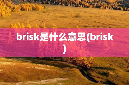 brisk是什么意思(brisk)