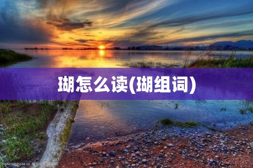 瑚怎么读(瑚组词)