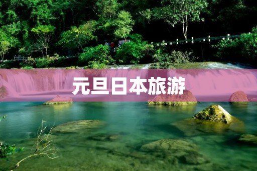 元旦日本旅游