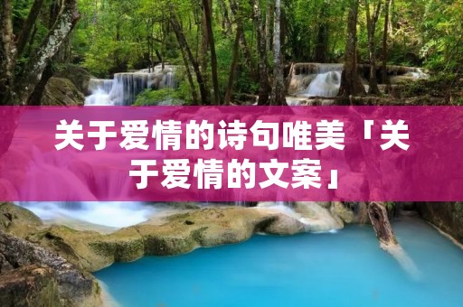 关于爱情的诗句唯美「关于爱情的文案」