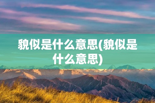 貌似是什么意思(貌似是什么意思)
