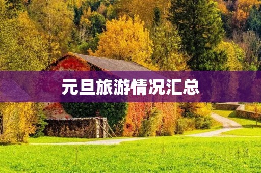 元旦旅游情况汇总