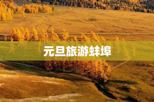 元旦旅游蚌埠