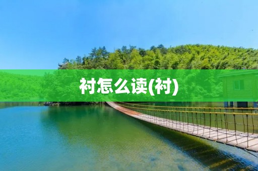 衬怎么读(衬)