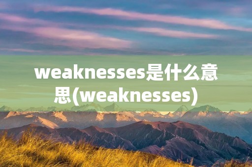 weaknesses是什么意思(weaknesses)
