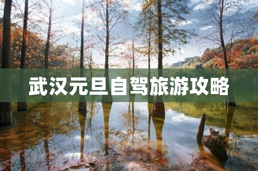 武汉元旦自驾旅游攻略