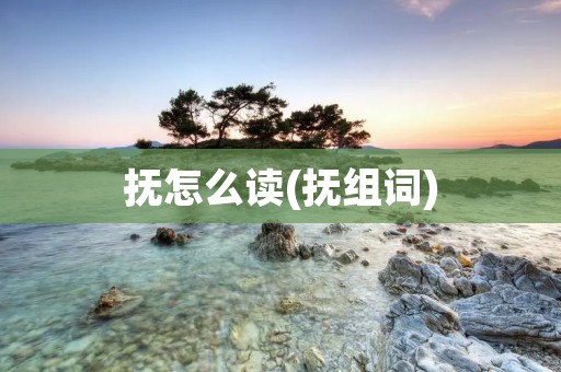抚怎么读(抚组词)