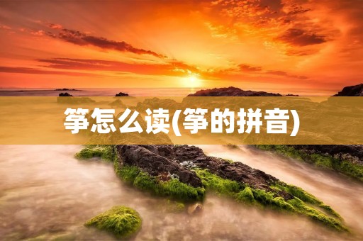 筝怎么读(筝的拼音)
