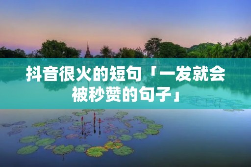 抖音很火的短句「一发就会被秒赞的句子」