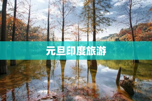 元旦印度旅游