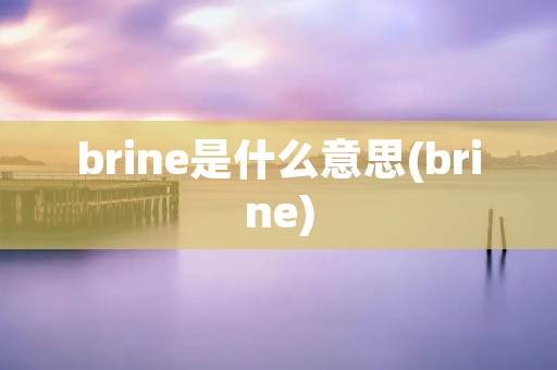 brine是什么意思(brine)