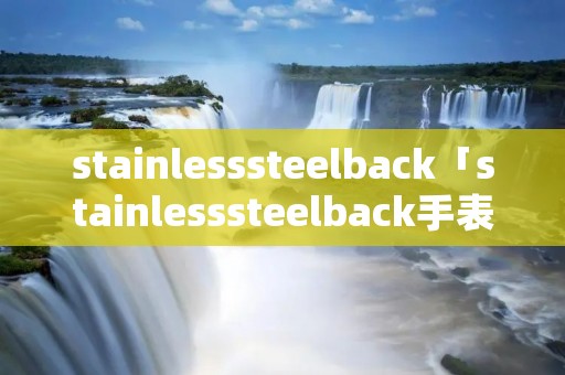 stainlesssteelback「stainlesssteelback手表大概多少钱」 stainlesssteelback「stainlesssteelback手表大概多少钱」