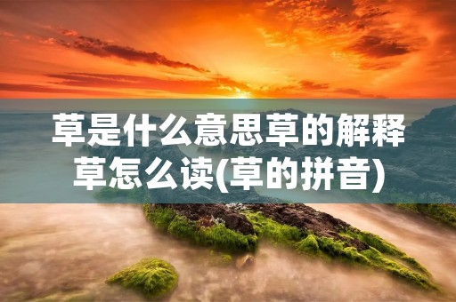 草是什么意思草的解释草怎么读(草的拼音)