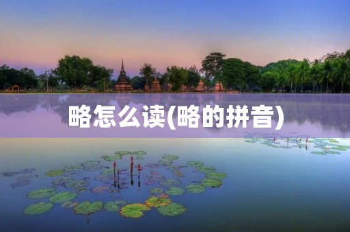 略怎么读(略的拼音)