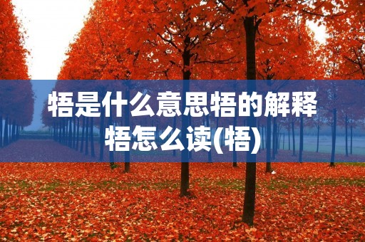 牾是什么意思牾的解释牾怎么读(牾)