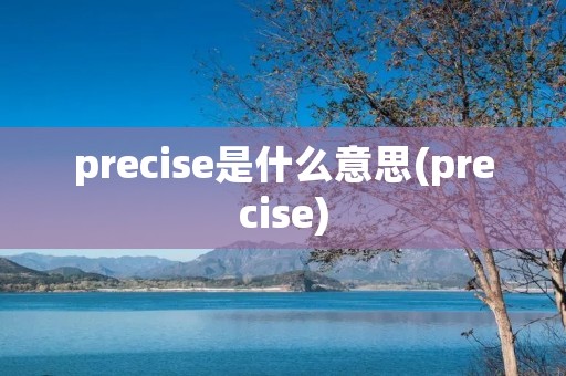 precise是什么意思(precise)