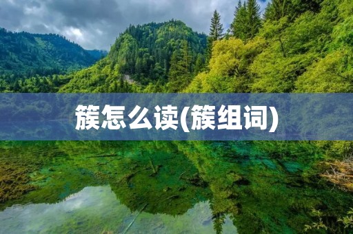 簇怎么读(簇组词)
