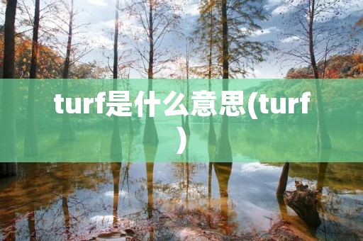 turf是什么意思(turf)