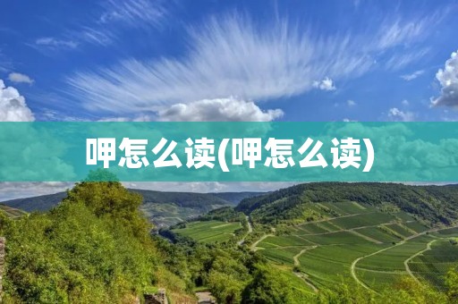 呷怎么读(呷怎么读)