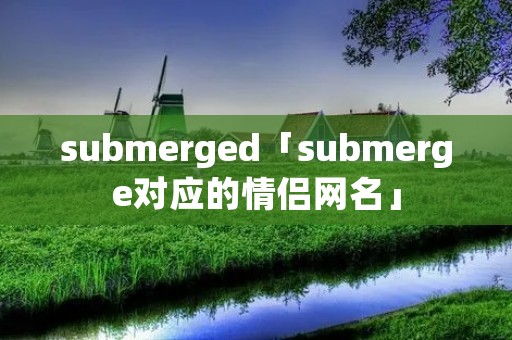 submerged「submerge对应的情侣网名」