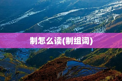 制怎么读(制组词)
