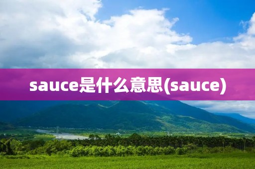 sauce是什么意思(sauce)