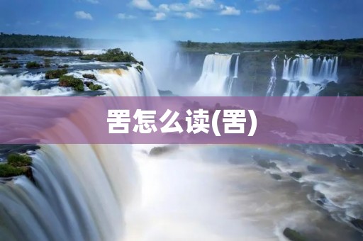 罟怎么读(罟)
