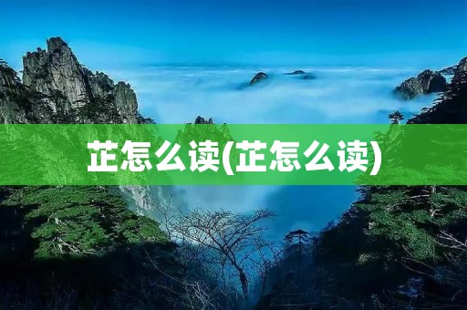 芷怎么读(芷怎么读)