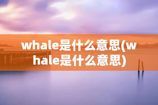 whale是什么意思(whale是什么意思)