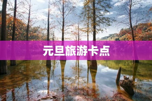 元旦旅游卡点
