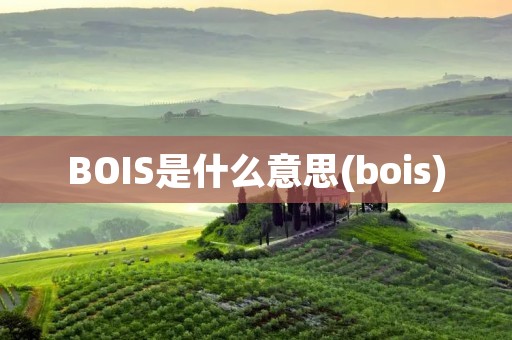 BOIS是什么意思(bois)