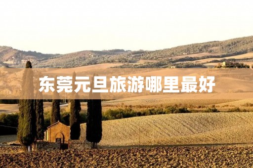 东莞元旦旅游哪里最好