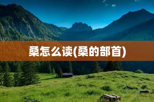 桑怎么读(桑的部首)