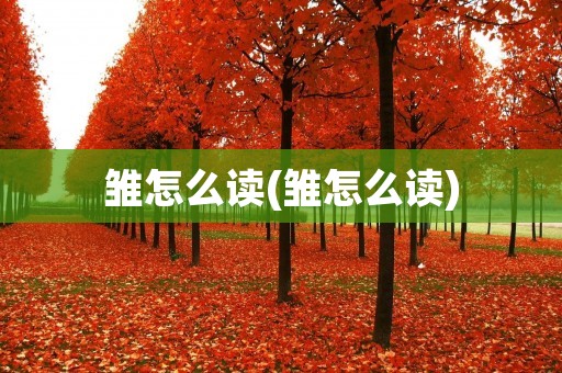 雏怎么读(雏怎么读)