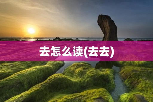去怎么读(去去)