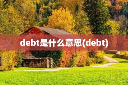 debt是什么意思(debt)