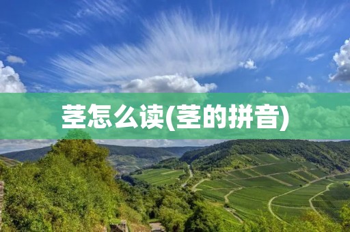 茎怎么读(茎的拼音)