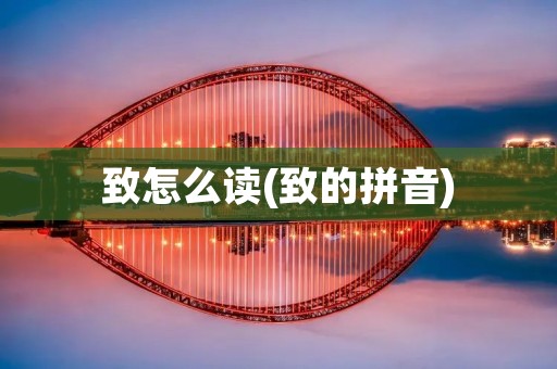 致怎么读(致的拼音)