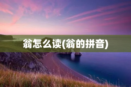 翁怎么读(翁的拼音)